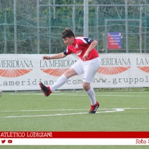 IMG_7510 IMG_7510