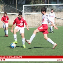 IMG_7512 IMG_7512