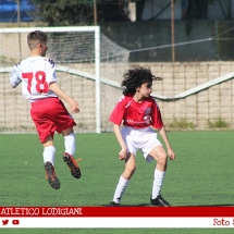 IMG_7513 IMG_7513