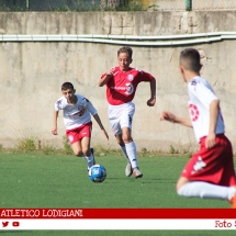 IMG_7515 IMG_7515