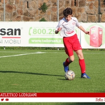 IMG_7516 IMG_7516