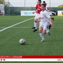 IMG_7517 IMG_7517