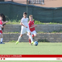 IMG_7517 IMG_7517