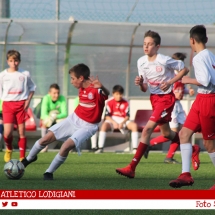 IMG_7520 IMG_7520