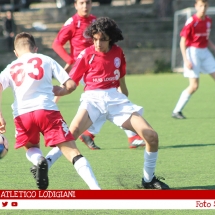 IMG_7520 IMG_7520