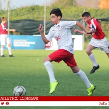 IMG_7522 IMG_7522