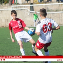 IMG_7524 IMG_7524