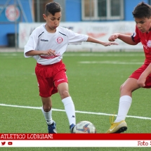 IMG_7528 IMG_7528