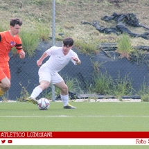 IMG_7528 IMG_7528