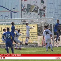 IMG_7528 IMG_7528