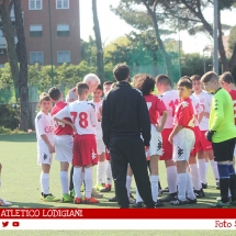 IMG_7528 IMG_7528