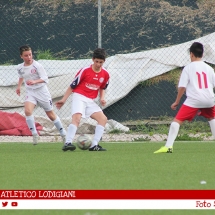 IMG_7530 IMG_7530