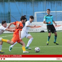 IMG_7531 IMG_7531