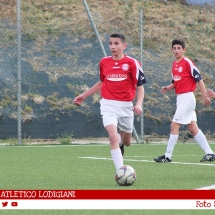 IMG_7533 IMG_7533