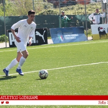 IMG_7533 IMG_7533