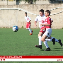 IMG_7533 IMG_7533