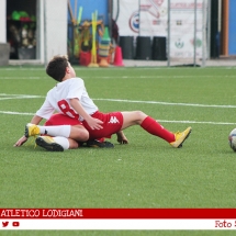 IMG_7534 IMG_7534
