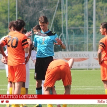 IMG_7534 IMG_7534
