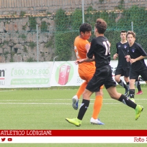 IMG_7535 IMG_7535