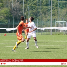 IMG_7536 IMG_7536