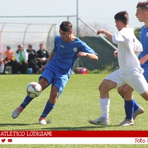IMG_7537 IMG_7537