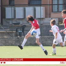 IMG_7537 IMG_7537