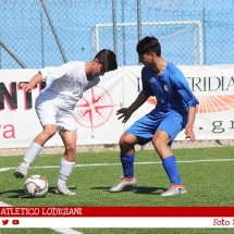 IMG_7538 IMG_7538