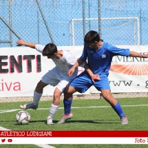 IMG_7539 IMG_7539