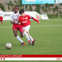 IMG_7541 IMG_7541