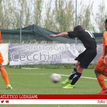 IMG_7541 IMG_7541