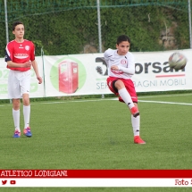 IMG_7542 IMG_7542