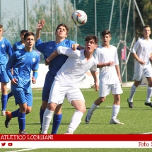 IMG_7542 IMG_7542