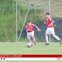 IMG_7543 IMG_7543