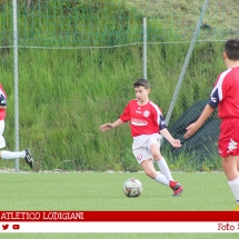 IMG_7544 IMG_7544