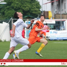 IMG_7548 IMG_7548