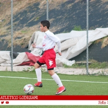 IMG_7551 IMG_7551