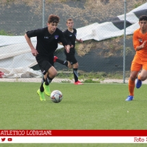 IMG_7551 IMG_7551