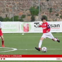 IMG_7554 IMG_7554
