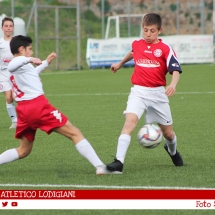 IMG_7557 IMG_7557