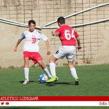 IMG_7557 IMG_7557