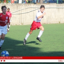 IMG_7558 IMG_7558