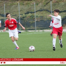 IMG_7559 IMG_7559