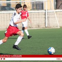 IMG_7559 IMG_7559