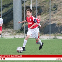 IMG_7561 IMG_7561