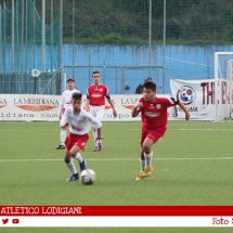 IMG_7564 IMG_7564