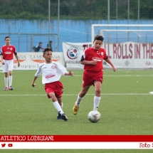IMG_7565 IMG_7565