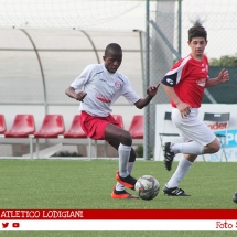 IMG_7567 IMG_7567