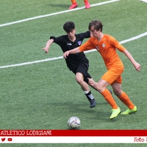 IMG_7568 IMG_7568
