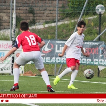 IMG_7569 IMG_7569