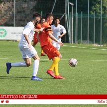IMG_7569 IMG_7569